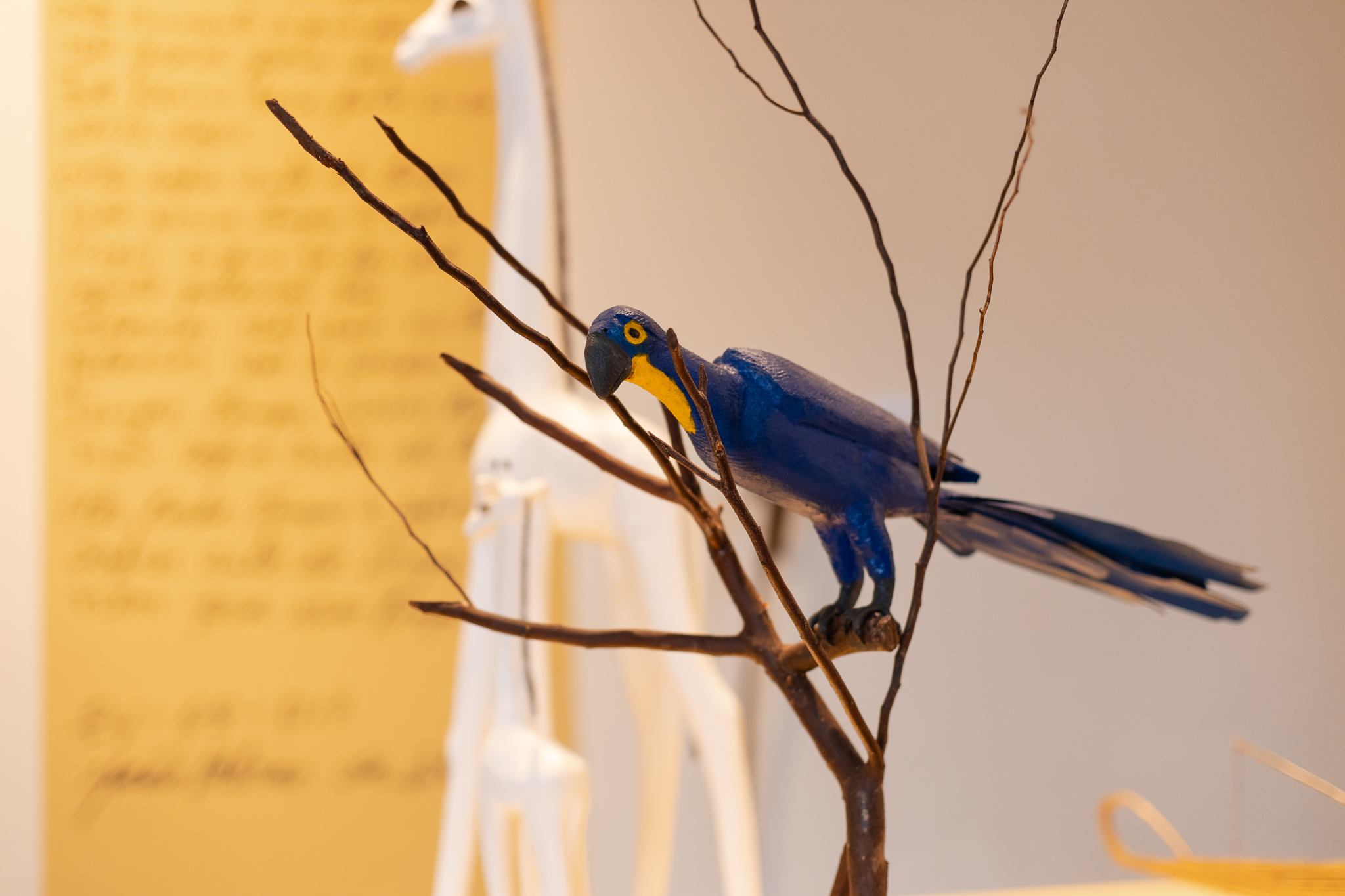 Arara Azul